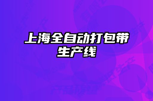 上海全自动打包带生产线