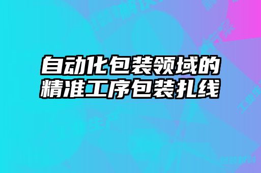 自动化包装领域的精准工序包装扎线