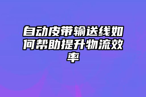 自动皮带输送线如何帮助提升物流效率