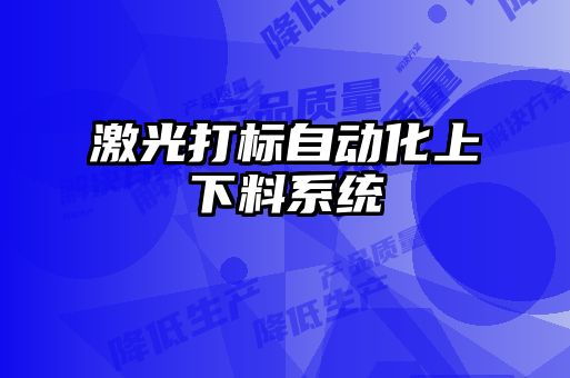 激光打标自动化上下料系统