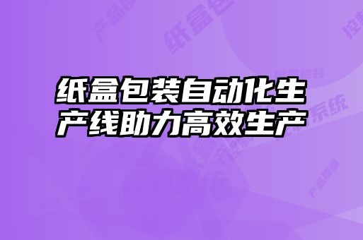 纸盒包装自动化生产线助力高效生产
