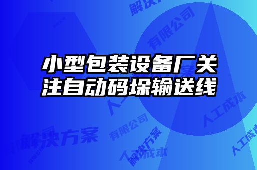 小型包装设备厂关注自动码垛输送线