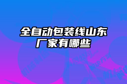 全自动包装线山东厂家有哪些