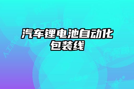 汽车锂电池自动化包装线