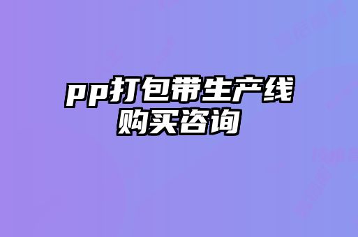 pp打包带生产线购买咨询