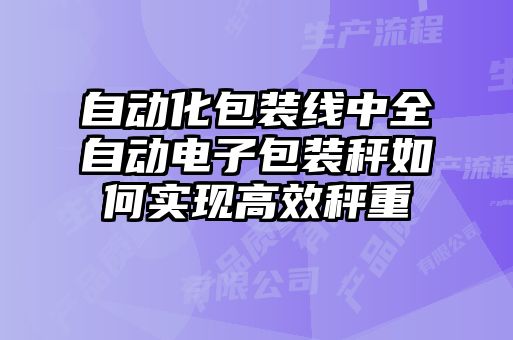自动化包装线中全自动电子包装秤如何实现高效秤重